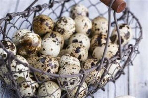 Ovos de codorna