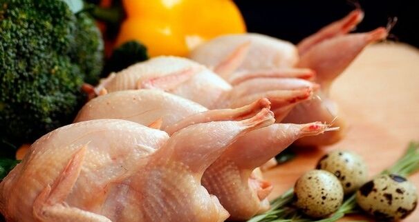 ovos de galinha e codorna para potência